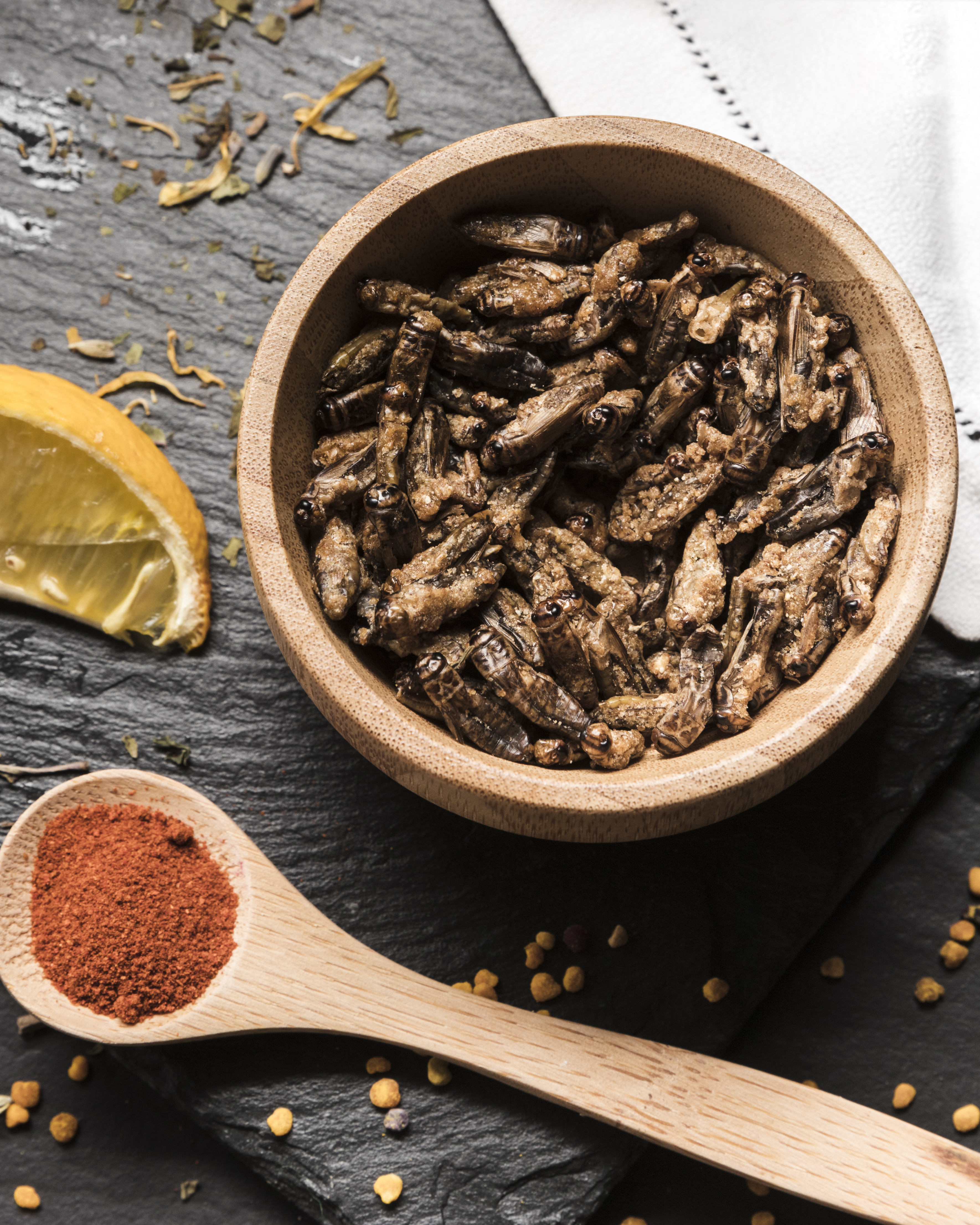 Mexican insect food pic