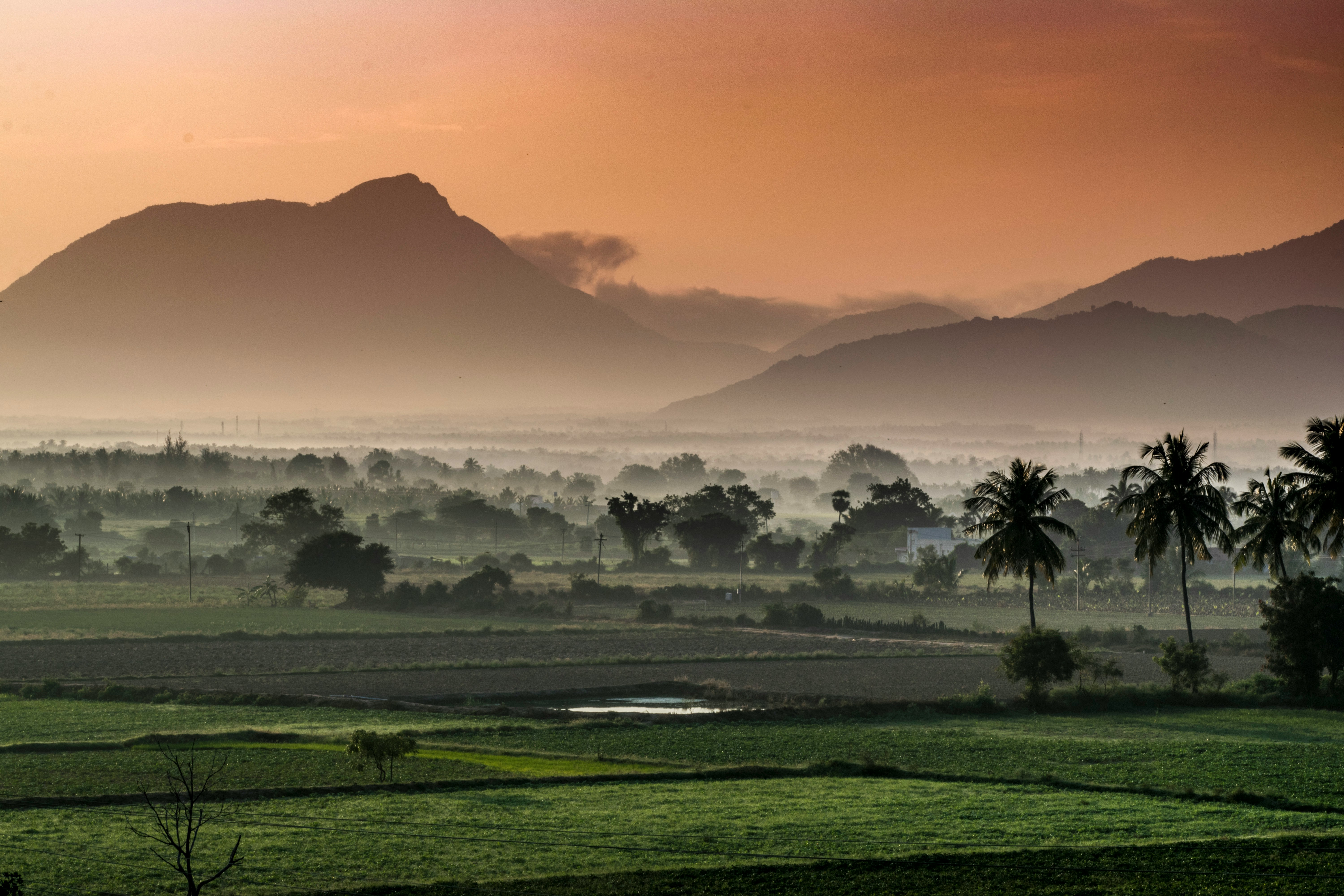 Tropical landscape of a place in India